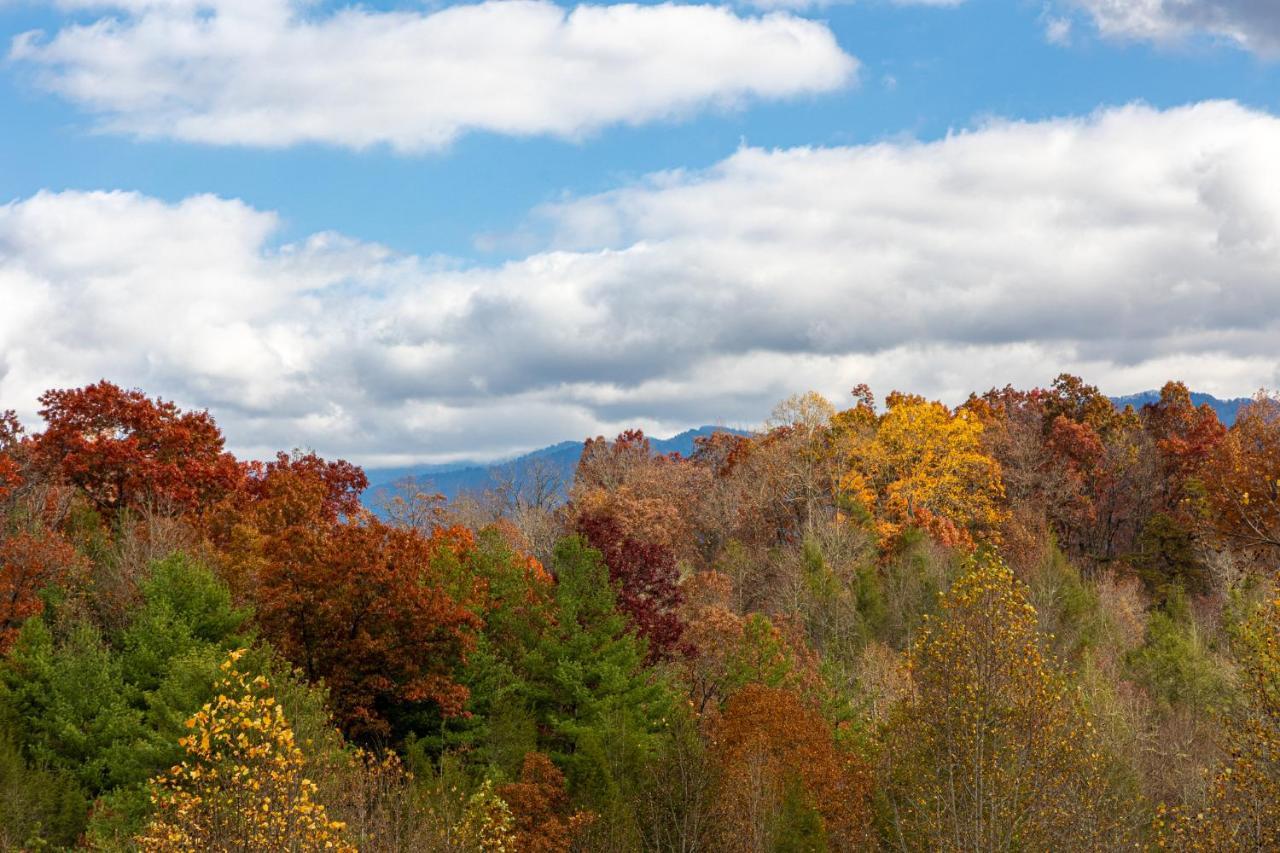 Ridge View Lodge Nature And Mountain View - Hot Tub - Firepit - Yard - Games Gatlinburg Εξωτερικό φωτογραφία